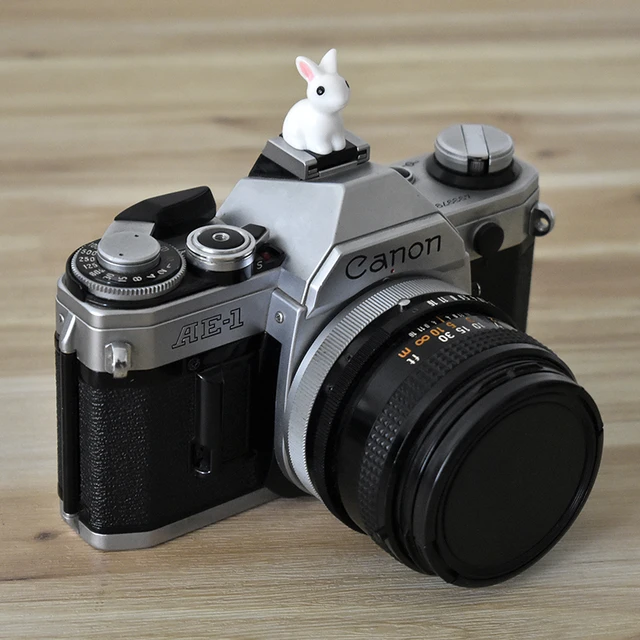 Canon AE-1 Camera: A Classic Photography Companion插图3