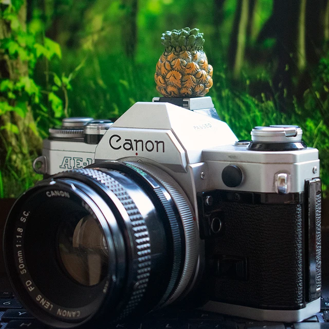 Canon AE-1 Camera: A Classic Photography Companion插图4